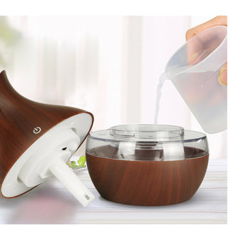 Air humidifier "Gabija" (Fortunately, one moment is enough)