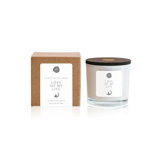 Soy wax candle "I love the moon"